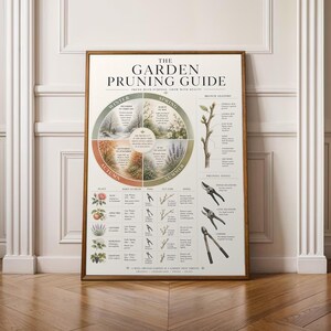 Snoeihandleiding Vintage Poster | Geïllustreerde botanische print
