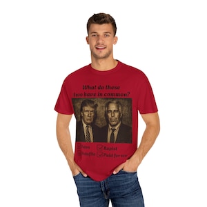 Epstein and Trump Provocative T-Shirt with Social Commentary, Political Tee, Unisex Graphic Tee