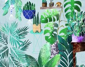 Plantas scarf