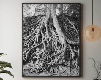 Roots Greenville SC Prints, Greenville SC Wall Art, Black and White Photography, Greenville Gifts, South Carolina Art,