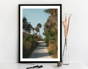 Palm Tree Wall Print, Palm Trees, Beach Photography, Edisto Beach, Charleston SC, Cottage Decor, Coastal Decor, Living Room Decor