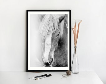 Horse Print, Black and White Photography, Horse Wall Art, Horse Gifts For Women, Gifts For Horse Lovers, Horse Rider Gifts,