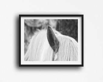 Horse Gifts, Horese Print Photography, Horse Photo Print, Black and White Photography, Horse Wall Art, Horse Gifts