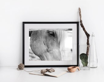Horse Photography Wall Art Print ~ Black and White Horse Photography, Horse Print, Horse Gifts, Fine Art Photography,