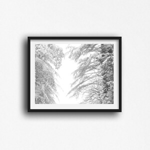 Snow Winter Photography,  Tree Prints, Winter Landscape ,  Winter Decor