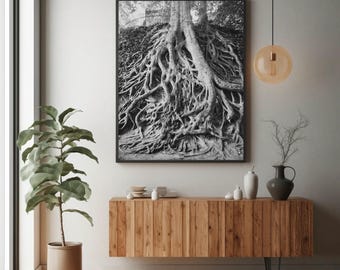 Greenville Tree Roots Print: Black and White Photography