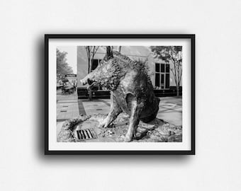 Greenville SC Black and White Photo Print, Downtown Porcellino (Unframed)