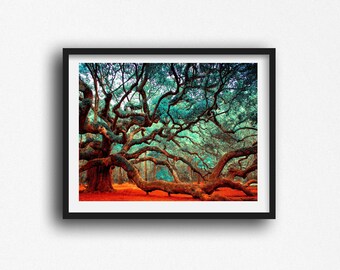 Angel Oak Tree Print, Charleston SC Photography, Large Wall Art, South Carolina Tree Print, Johns Island, Nature Decor