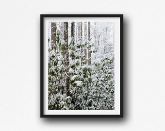 Winter Forest Print, Winter Photography, Snow Print, Snow Photography, Forest Print Wall Art, Winter Wonderland, Winter Landscape Print