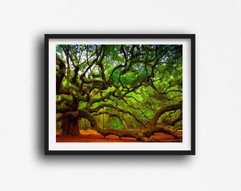 Tree Wall Art Print, Charleston SC, South Carolina,  Angel Oak Tree, Nature Wall Photography, Landscape Photos South Carolina,