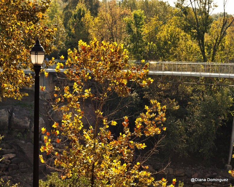 Greenville SC Photography Lamp Post Greenville Photo Fine Etsy
