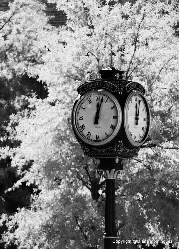 Greenville SC Greenville SC Gifts Greenville SC Art Black Etsy