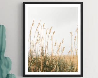 Outer Banks Beach Print: Coastal Grass Dunes Photography (Unframed)