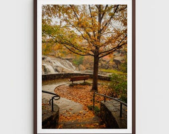 Falls Park Waterfall Photo: Greenville SC Modern Wall Art