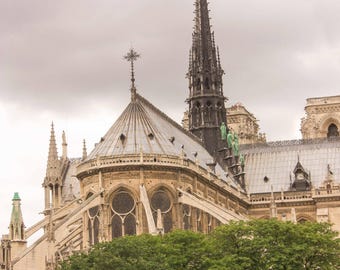 Paris Notre Dame Photo Print, Cathedral by the Seine (Wall Art)