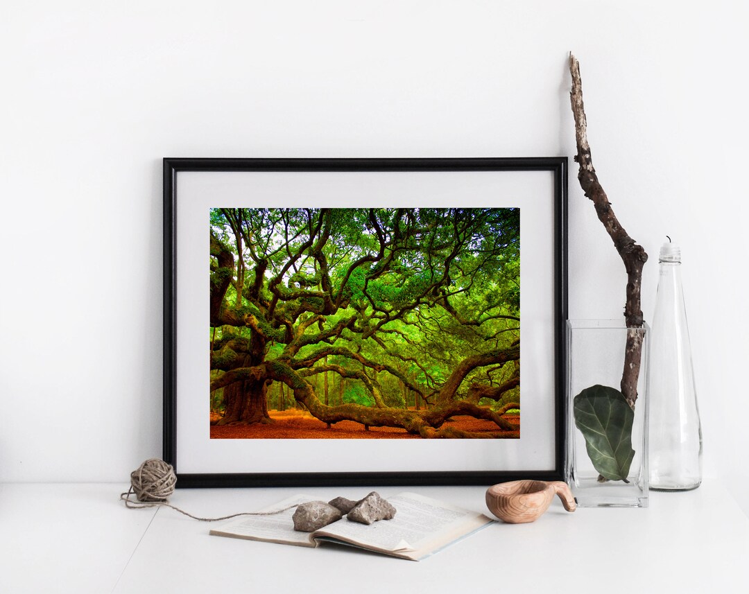 Angel Oak Tree Print Charleston SC Photo Johns Island Etsy