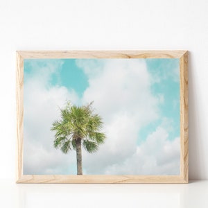 Palm Tree Wall Art, Palm Tree Photo, Beach Photography