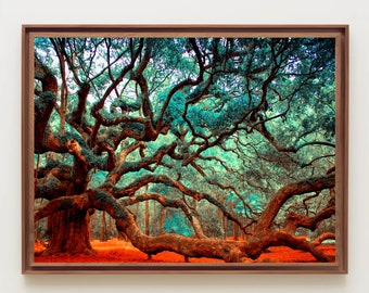 Charleston SC, Angel Oak Tree Wall Art, Extra Large Wall Art, Charleston Print, South Carolina, Tree Print, Fine Art Photography, Modern
