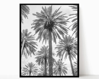 Black and White Photography, Palm Tree Wall Art, Palm Tree Photo, Beach Photography, Black and White Prints