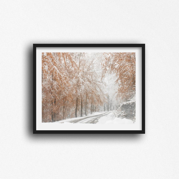 Winter Photography, Winter Snow Photography, Winter Wall Art, Nature Photography, Snow Photos, Landscape Art Print, Fine Art Photography