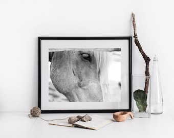 Black and White Horse Photography Print: Fine Art Wall Decor