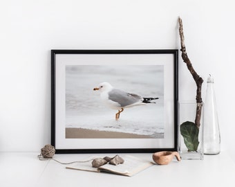 Nature Photography Prints, Bird Photography, Beach Prints Wall Art, Beach Photography, Animal Prints, Wall Art Bird Prints