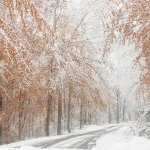 Winter Photography, Winter Snow Photography, Winter Wall Art, Nature Photography, Snow Photos, Landscape Art Print, Fine Art Photography Bild 2