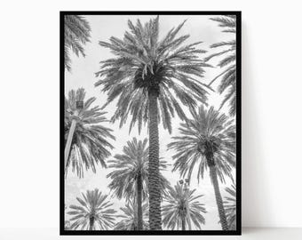Black and White Palm Tree Print - Coastal Beach Wall Decor