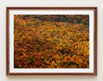 Fall Landscape Print: Vibrant Autumn Colors (Unframed Photo)