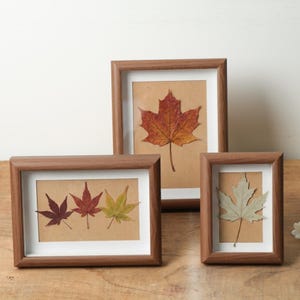 Puede incluir: Tres marcos de madera con hojas prensadas. Los marcos son de color marrón cálido, y las hojas son en tonos rojos, naranjas y verdes. Los marcos están colocados sobre una superficie de madera.