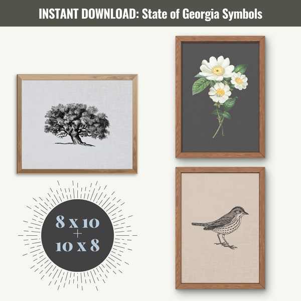 State of Georgia Wall Art, Atlanta Wall Decor, Cherokee Rose, Live Oak, Brown Thrasher, State Symbols, Georgia Gift, Georgia Home Decor