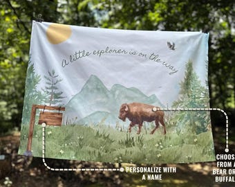 Custom Adventure Baby Shower Backdrop, National Park Photo Prop, Outdoor Theme Welcome Sign, Mountain Nursery Banner, Gender Neutral Reveal