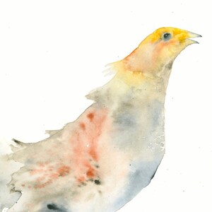 Bird Watercolor Art Print Partridge Unique Bird Art image 2