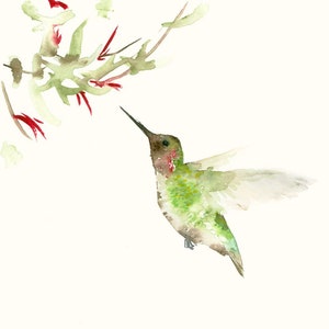 Bird Art Card Blank Greeting Card Hummingbird and Flower