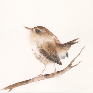 Wren Watercolor Bird Art Print - Gardenbird Wall Decor