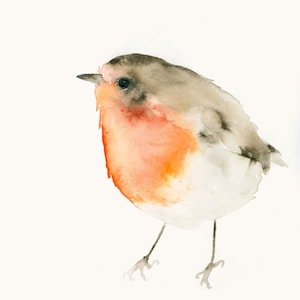 Red Robin Bird Watercolor Art Print