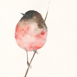 Blanko Kunst Künstler Grußkarte Pinker Vogel