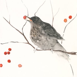 Watercolor art print thrush on branch with red berries, 15x20 cm, native bird illustration on artist paper, for bird and nature lovers