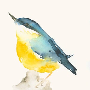 Bird Art Card Nuthatch Blank Greeting Card image 2