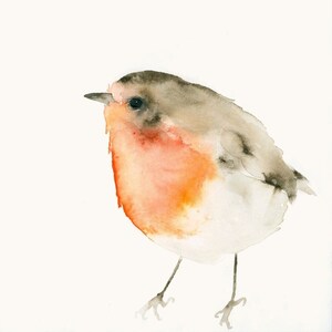 Red Robin Bird Watercolor Art Print