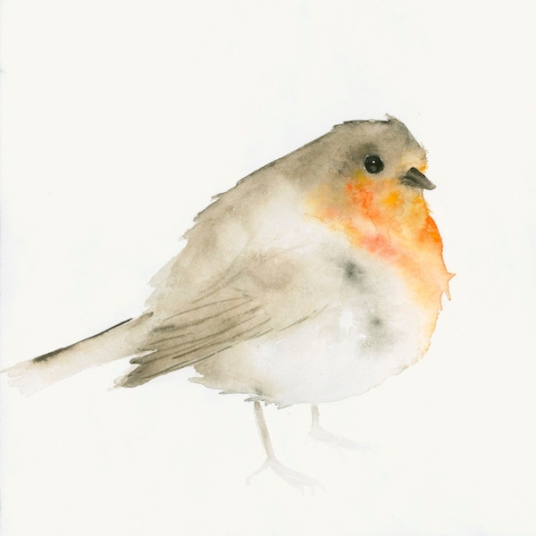 Red Robin Watercolor Art Print - Garden Bird Wall Art