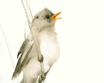 Watercolor Bird Art Print Little Brown Songbird