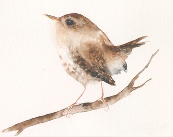 Wren Watercolor Bird Art Print - Gardenbird Wall Decor