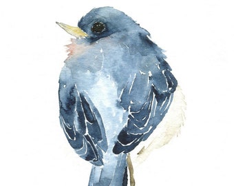 Blue Bird Watercolor Art Print from Original Painting