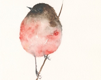 Vogel Aquarell Kunstdruck Pinker Vogel