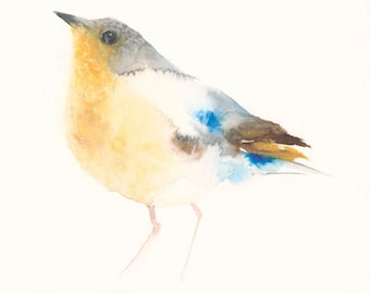 OriginaWatercolor Bird Painting gold and blue Bird - Unique Bird Art, Original Painting on Paper