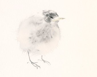 Bird Art Card Blank Greeting Card Young Sea Swallow