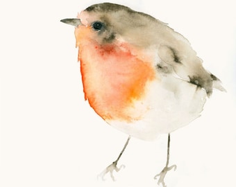 Red Robin Bird Watercolor Art Print