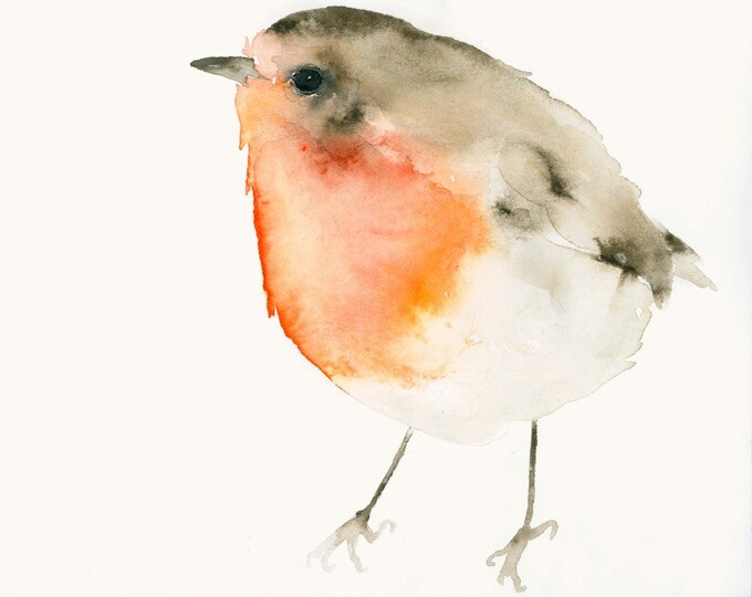 Red Robin Art Fine Art Print From Original Watercolor Painting Etsy