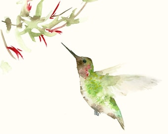 Bird Art Card Blank Greeting Card Hummingbird and Flower